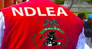 NDLEA intercepts N10.4bn Canadian loud at Lagos port